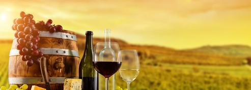 Les dix conseils d’un œnologue pour parler du vin comme un expert