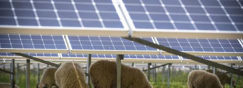 Face aux écologistes radicaux, des agriculteurs renoncent au photovoltaïque par crainte de représailles