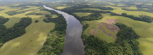 Le Gabon veut valoriser la sauvegarde de ses forêts équatoriales humides