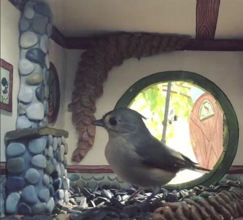 Ces cabanes à oiseaux sont (presque) de vraies maisons - Figaro Immobilier
