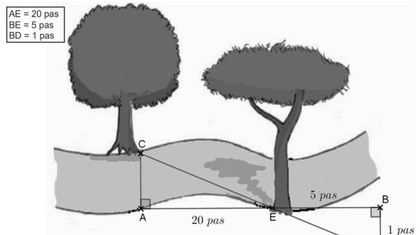 Mesure de la hauteur d'un arbre - Annales Corrigées