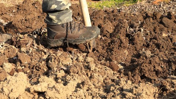 Préparez vos sols pour l’hiver