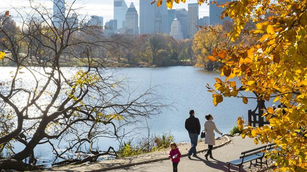 “Nobody comes to New York to start a family”