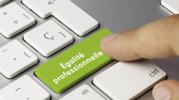 Index professionnel: le casse-tête des PME de plus de 50 salariés