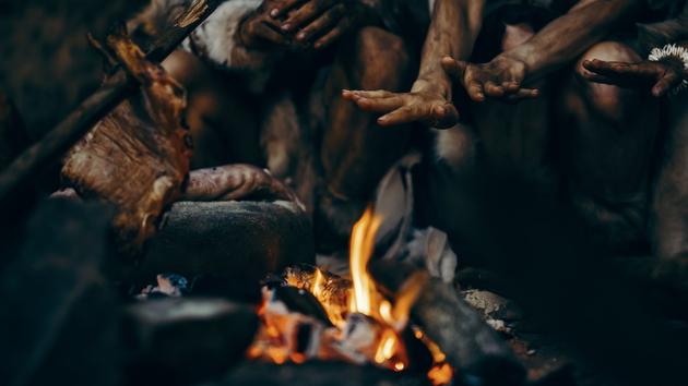 Néandertal et Homo sapiens mangent des sucres depuis longtemps