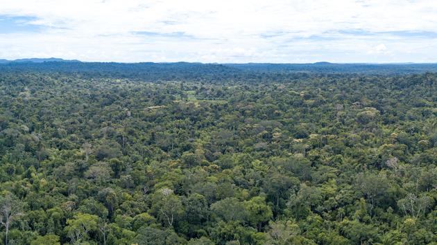 Brasil aperta o controle sobre as terras indígenas