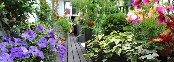 Comment aménager un jardin sur son balcon