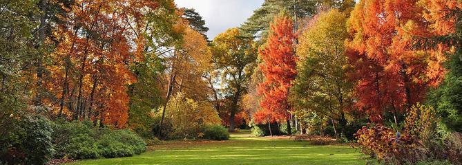 À la découverte des plus beaux arboretums de France