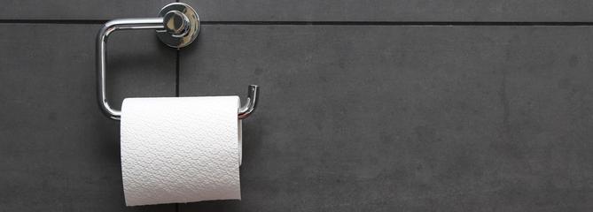 Bretagne: des toilettes sèches dans une résidence, une première