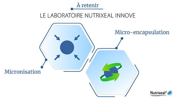 Micronisation et micro-encapsulation permettent d’améliorer considérablement la biodisponibilité des flavonoïdes.
