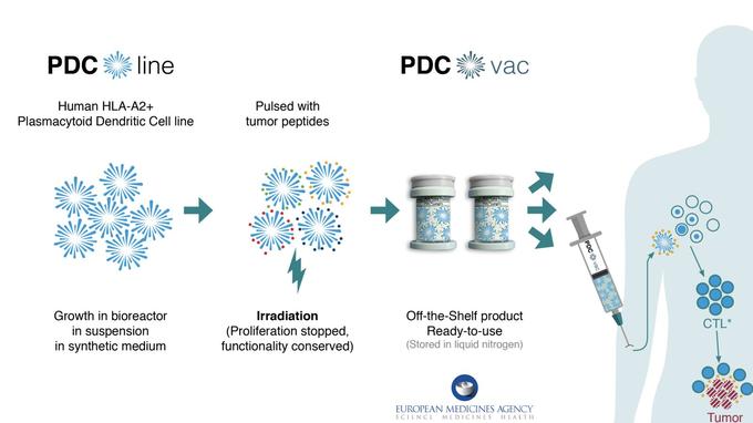 PDC Line Pharma : Une Nouvelle Classe D’immunothérapie Contre Le Cancer