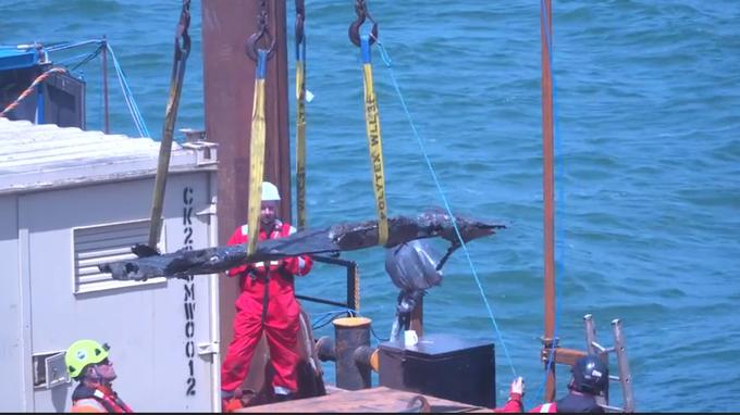 Un bombardier de 1943 rep&ecirc;ch&eacute; dans la Manche, les arch&eacute;ologues cherchent le pilote survivant