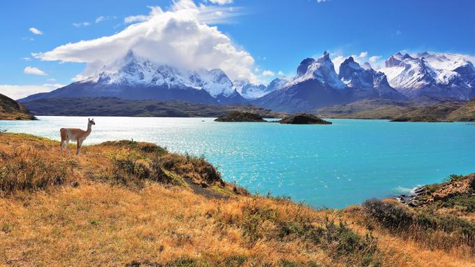 Croisière en Patagonie