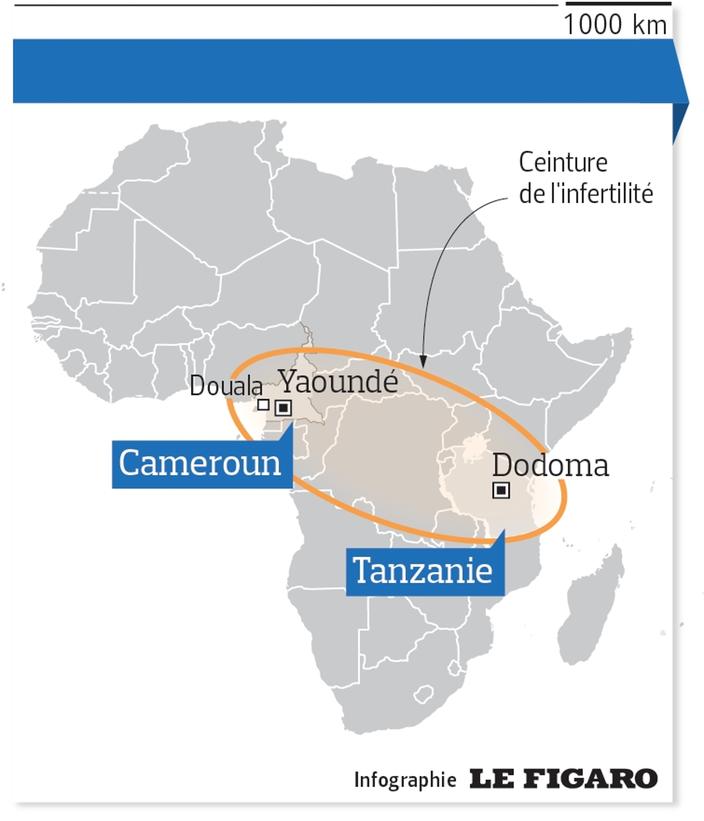 Mourir au heureux cameroun jeune vivre L'environnement de