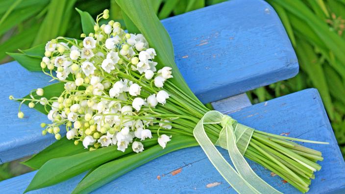 D Ou Vient La Tradition Du Muguet Le 1er Mai
