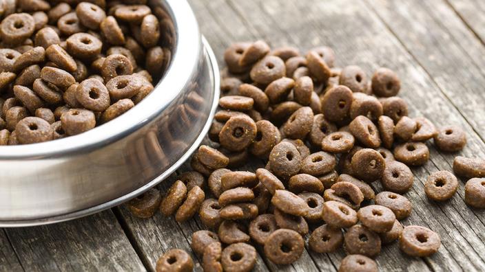 Comparatif des meilleures croquettes pour chien