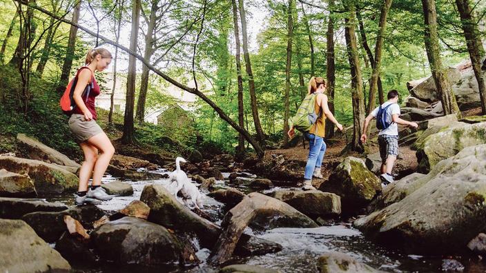 Se Ressourcer En Pleine Nature A Moins De 100 Km De Paris