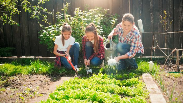 Améliorer votre maison et votre jardin : conseils et astuces pour une vie plus sereine