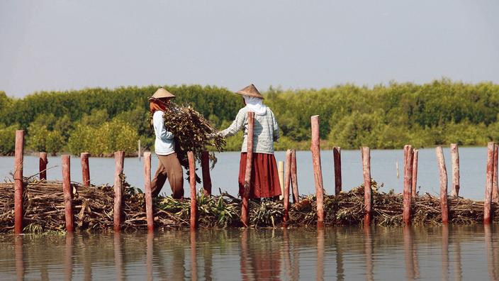 La protection des zones humides, un enjeu vital pour le climat