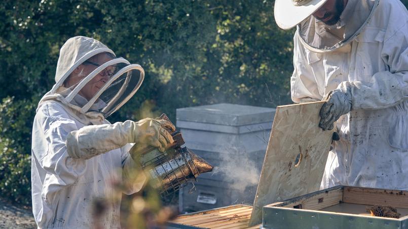 Lire article Arnaud Montebourg inaugure son école du miel à Dijon