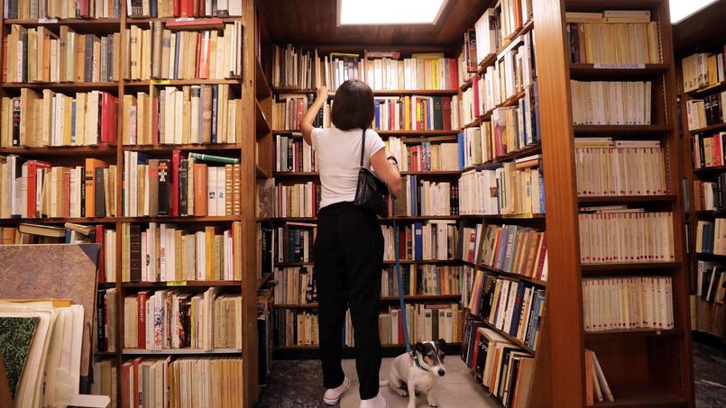 Les Habitudes De Lecture Des Francais Devoilees