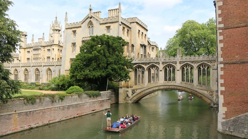 Quiz: Test your knowledge of English grammar with Cambridge