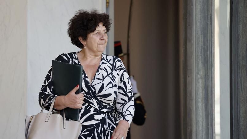 Lire article Frédérique Vidal recalée: l’ancienne ministre de l’Enseignement supérieur ne pourra pas exercer à Skema