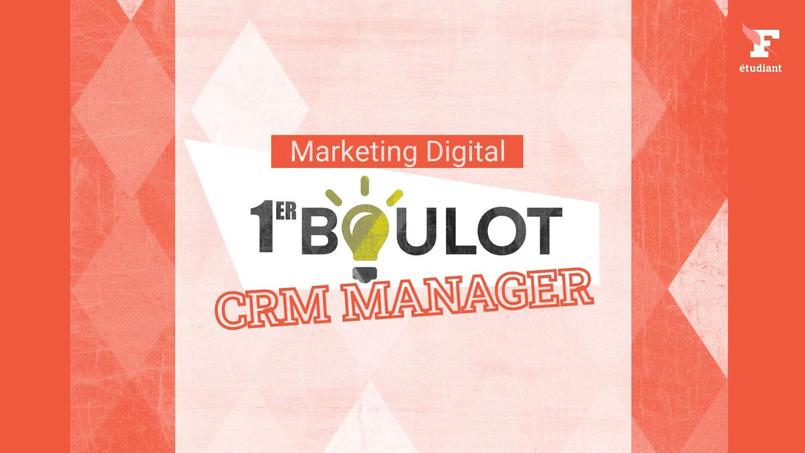 Lire article Les métiers du marketing digital: quelles sont les missions du CRM Manager?