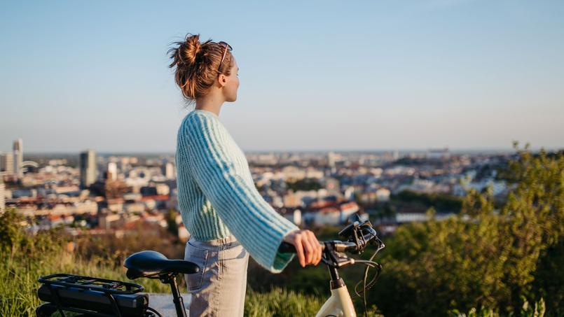 Services de proximité et cadre de vie sain vont rarement de pair en Île-de-France.