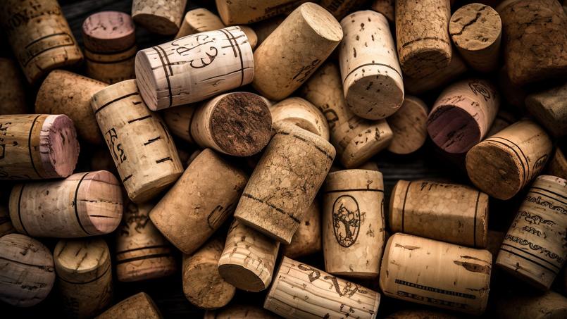 Le liège est en effet doté de multiples vertus: il protège de l’humidité, des champignons, et ne dégage aucune émanation toxique.