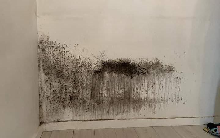 Voici les moisissures que Marine a découvertes lorsqu’elle a inspecté le mur derrière la tête de lit.