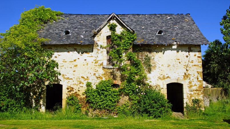 Les affaires de squats peuvent parfois être déroutantes mais pas dans le sens qu’on imagine.