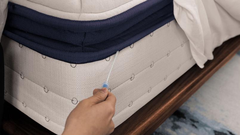 L’autotest permet de savoir en moins de 5 minutes si l’on est victime de punaises de lit ou non.