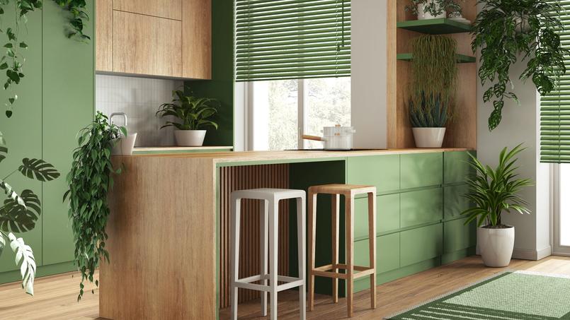 C’est le vert qui remporte l’adhésion cette année dans les cuisines.