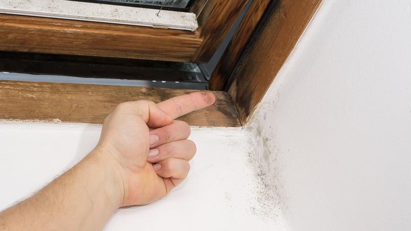 Les locataires invoquaient une indécence du logement pour justifier ces impayés de loyer.