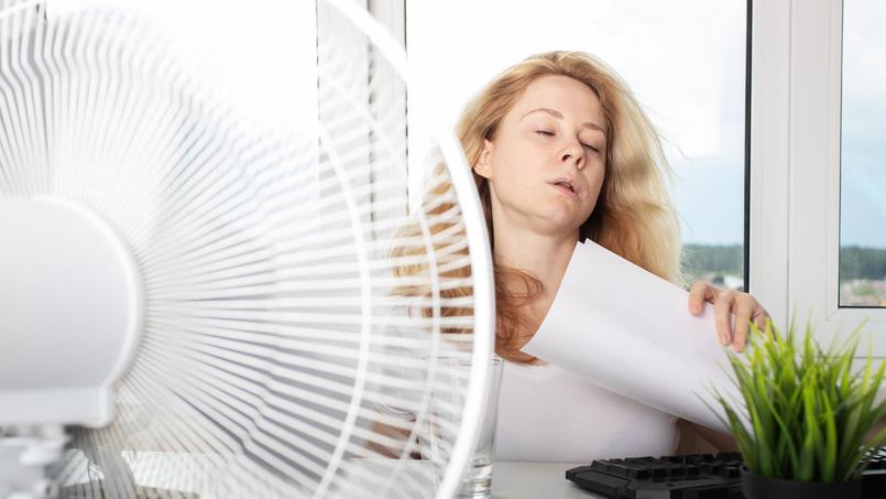 Certains pays ont commandé 2500 climatiseurs mobiles, à leurs frais.