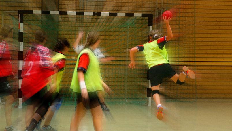 Le club des Neptunes de Nantes (image d’illustration) a été liquidé fin juillet après le retrait de son actionnaire principal, le groupe immobilier Réalités.