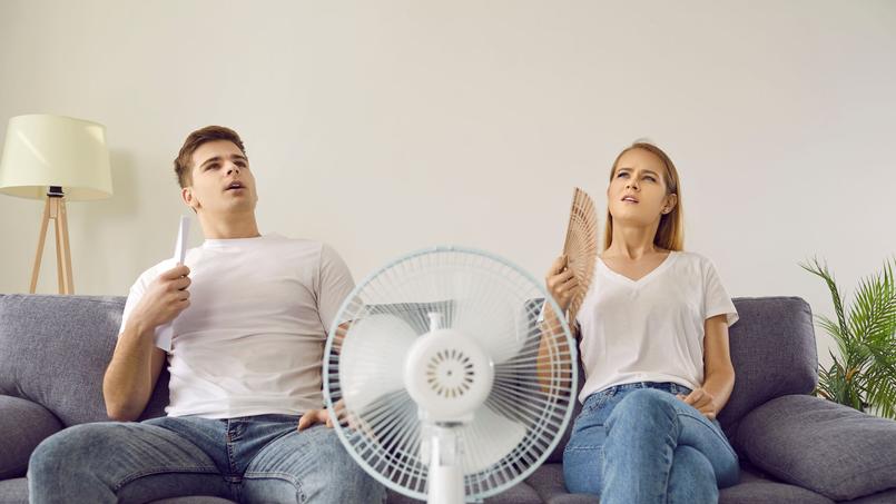 Environ 31% des logements au diagnostic de performance énergétique A (excellente performance énergétique) sont jugés «insuffisants» au regard du confort d’été.