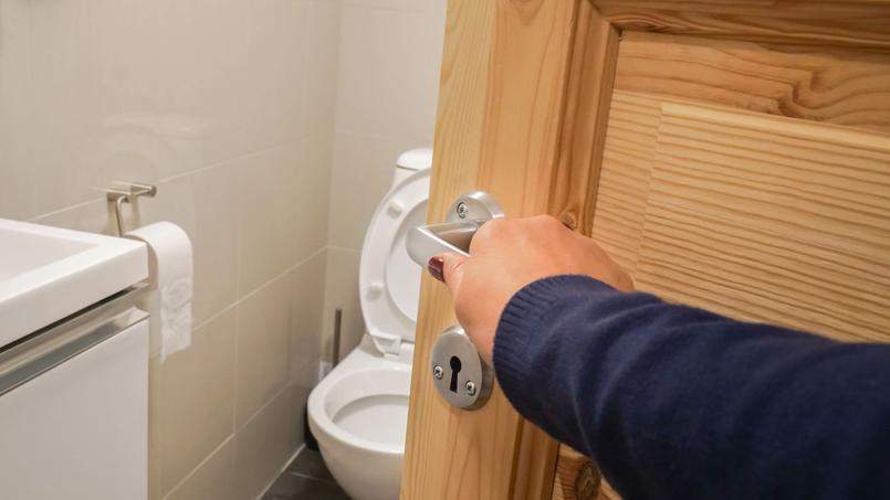 Les toilettes qui s’ouvrent directement sur une pièce de vie: une évolution jugée particulièrement négative par les Français.