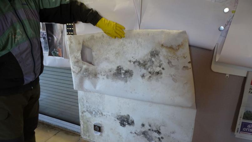 La moisissure gangrène les murs de cette maison, touchée par les affaissements miniers.