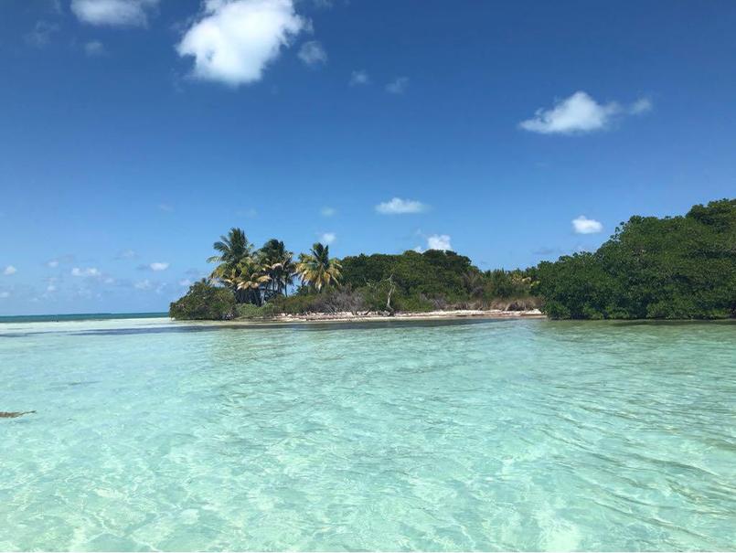 Cette île paradisiaque inhabitée au Mexique cherche son Robinson Crusoé
