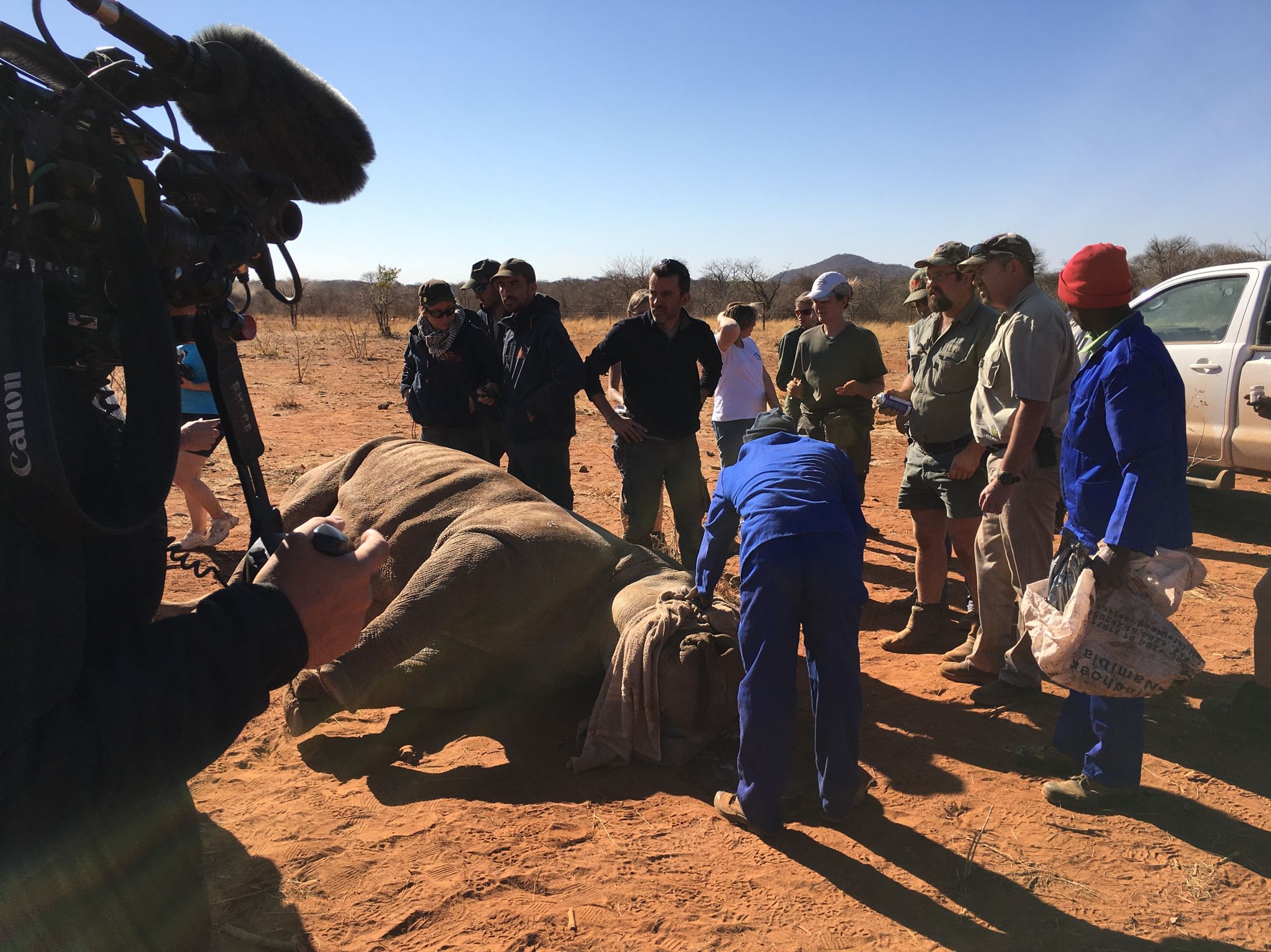 L Equipe Du Zoo De La Fleche Rangers En Savane