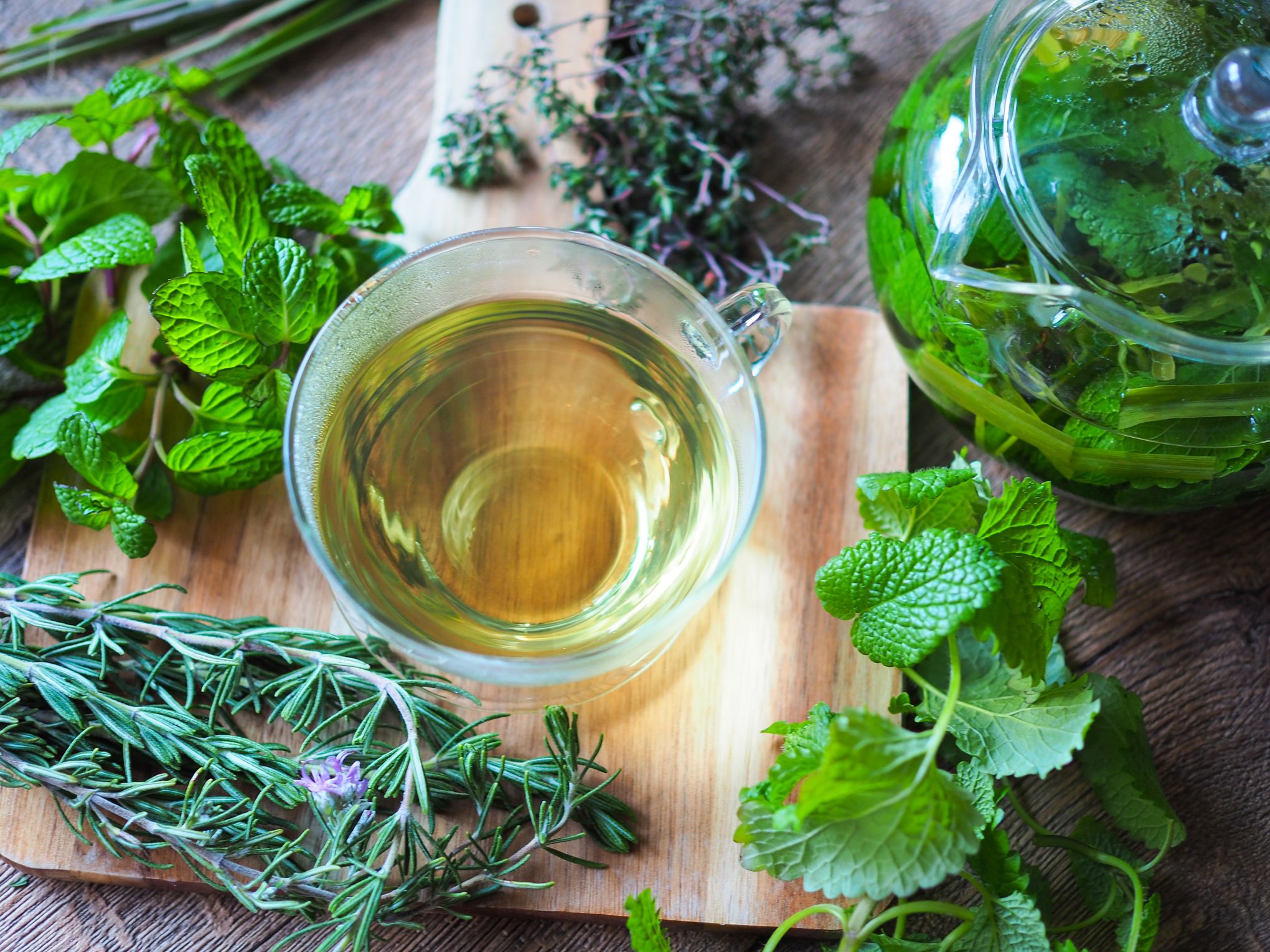 Médecine Par Les Plantes Des Traitements à Manier Avec - 