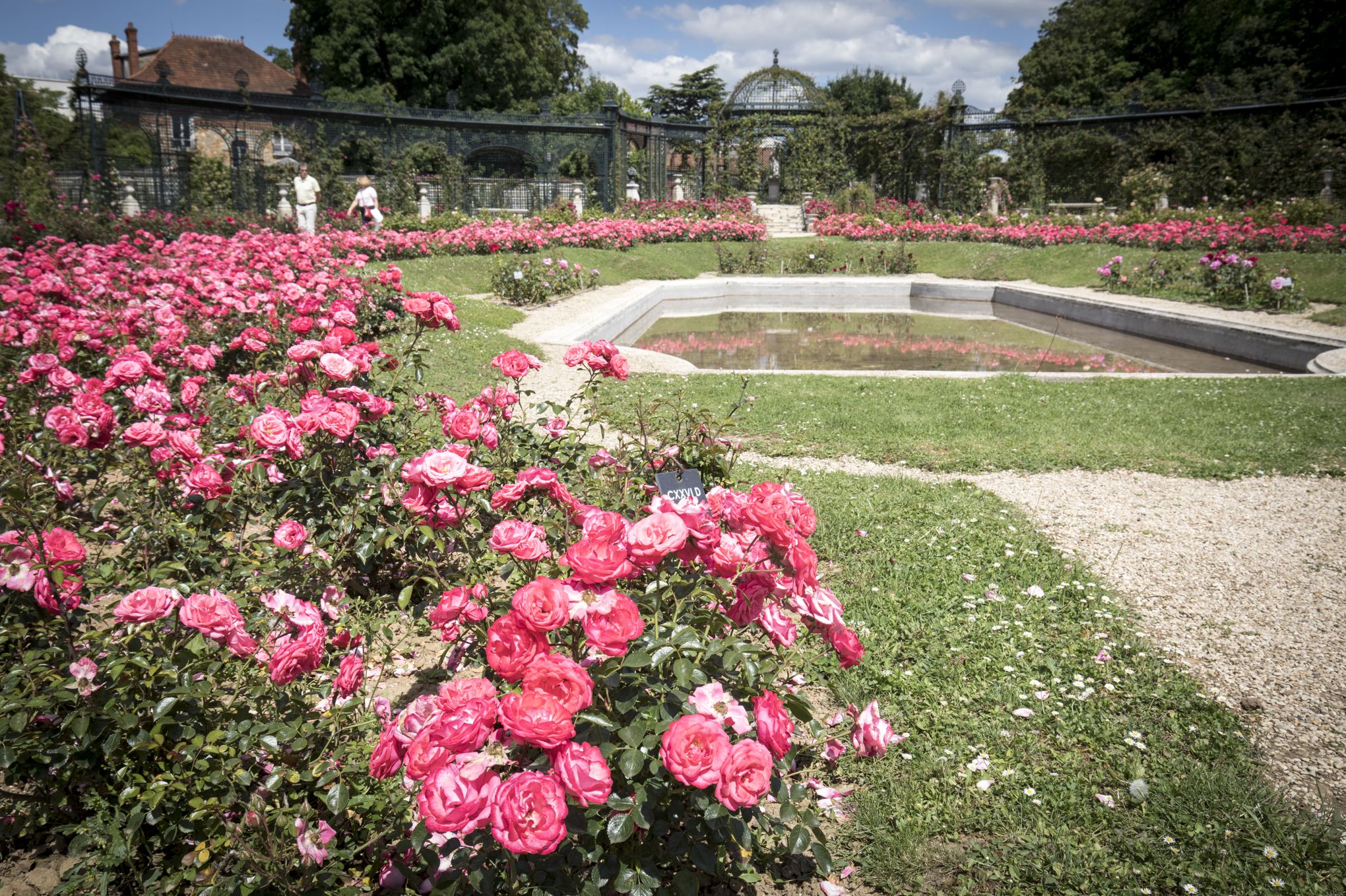 Meteo L Hay Les Roses 15 Jours La Roseraie de L'Haÿ-les-Roses, premier jardin de la reine des fleurs