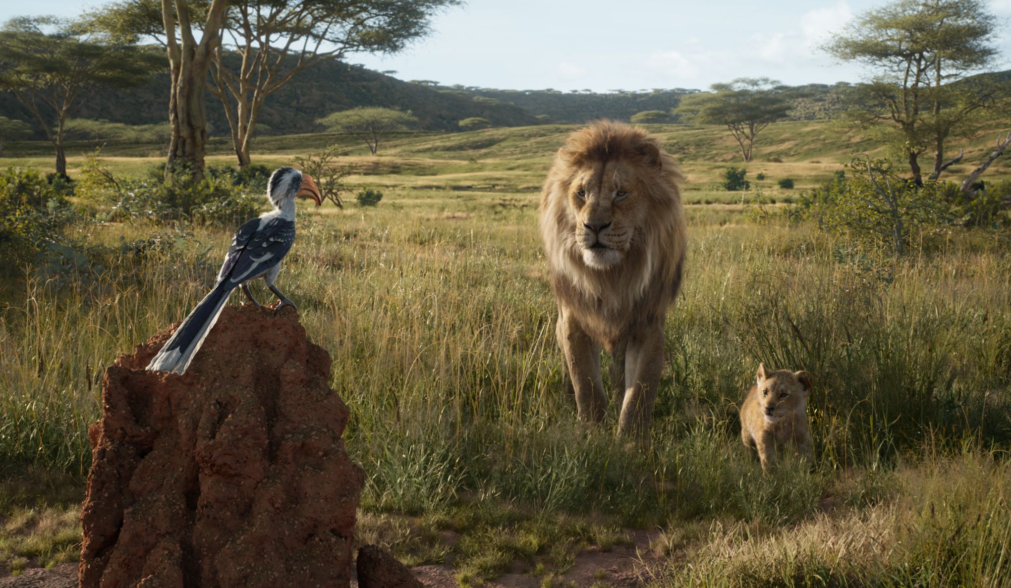 Le roi Lion» en photoréalisme: beau, mais sans frissons