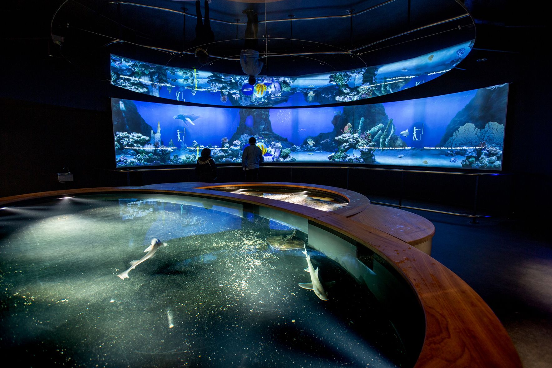 Plongee Miraculeuse Dans L Ocean Du Futur A La Cite De La Mer De Cherbourg