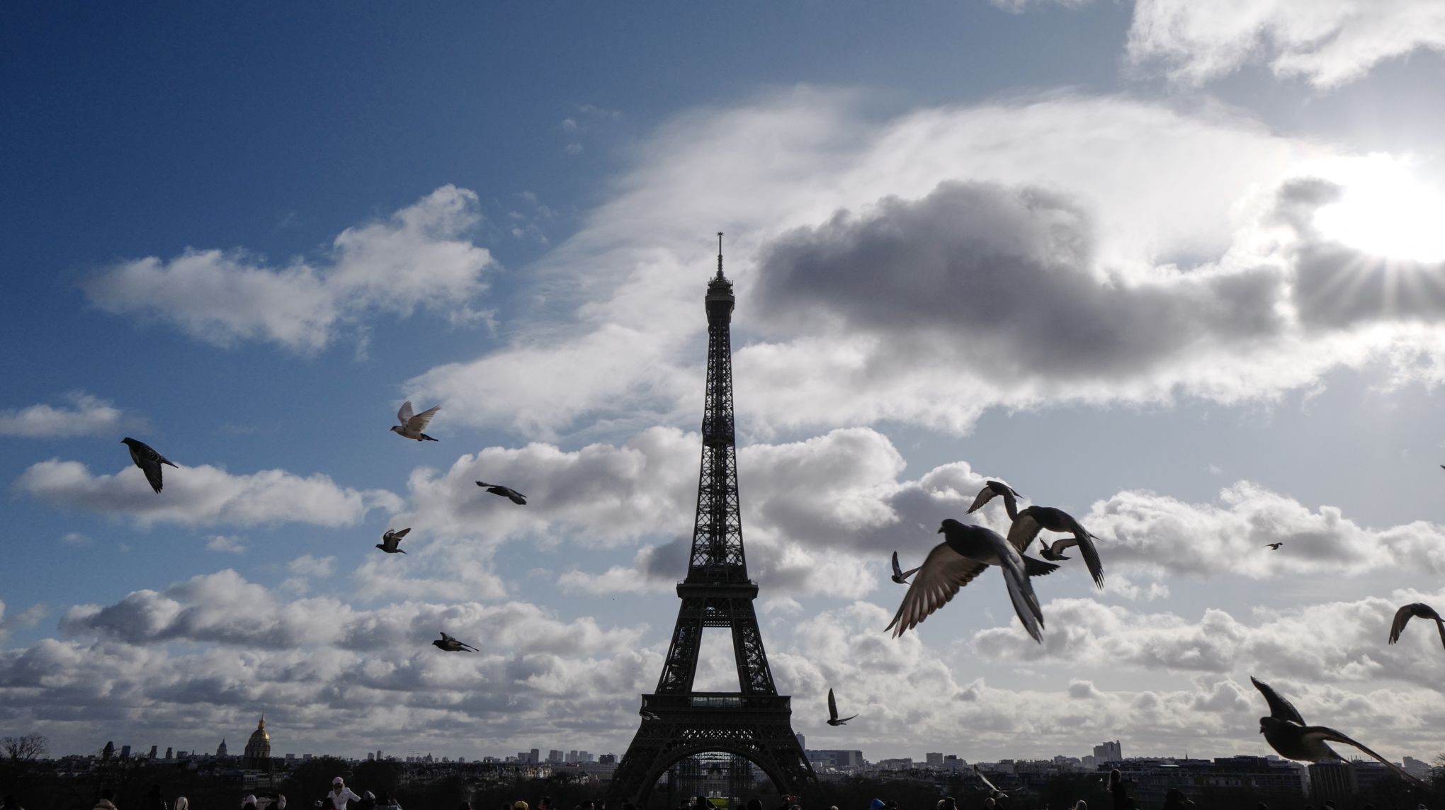 A Paris On Entend A Nouveau Le Chant Des Oiseaux