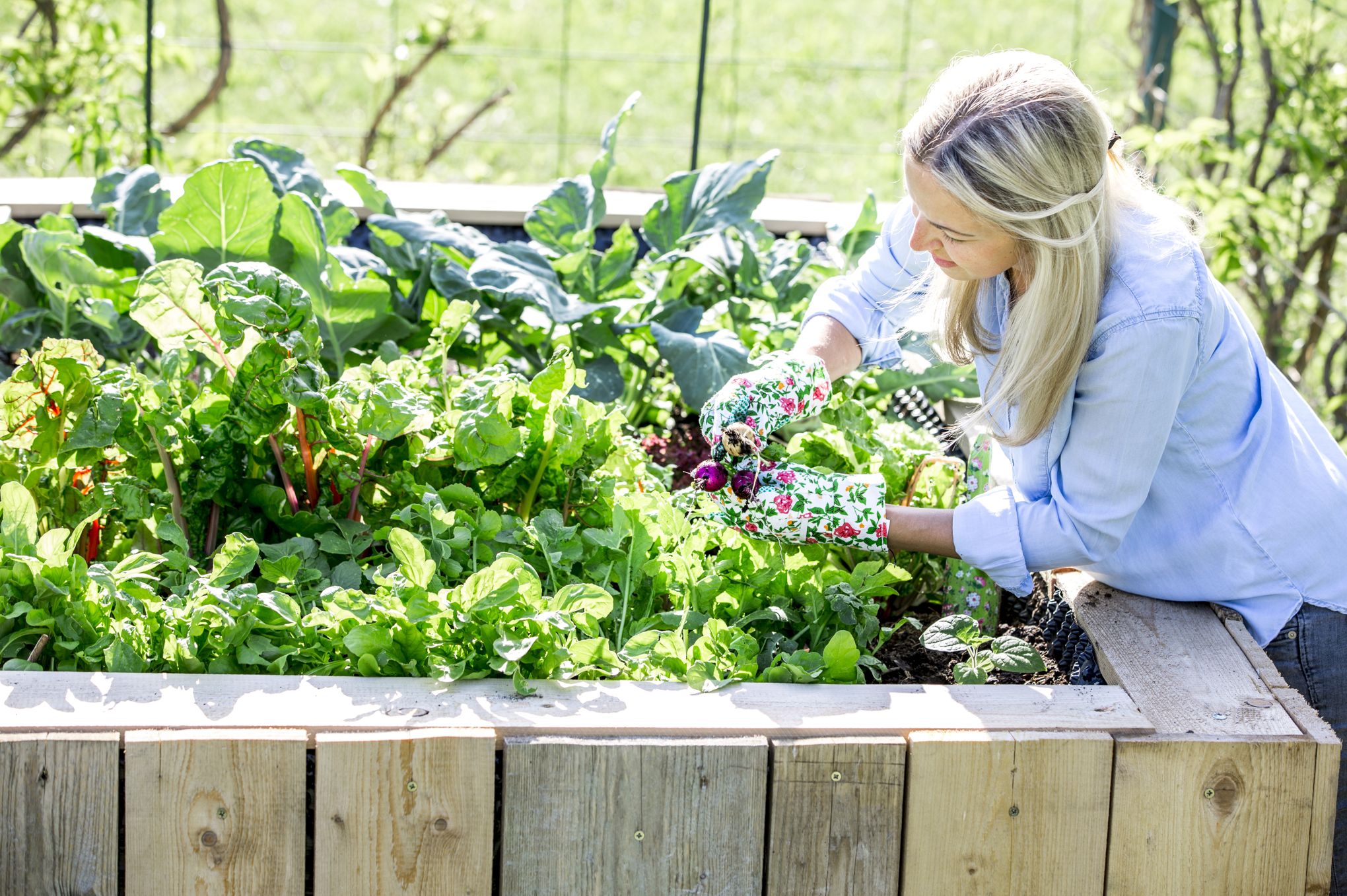9 principes du jardinage écologique à connaître absolument