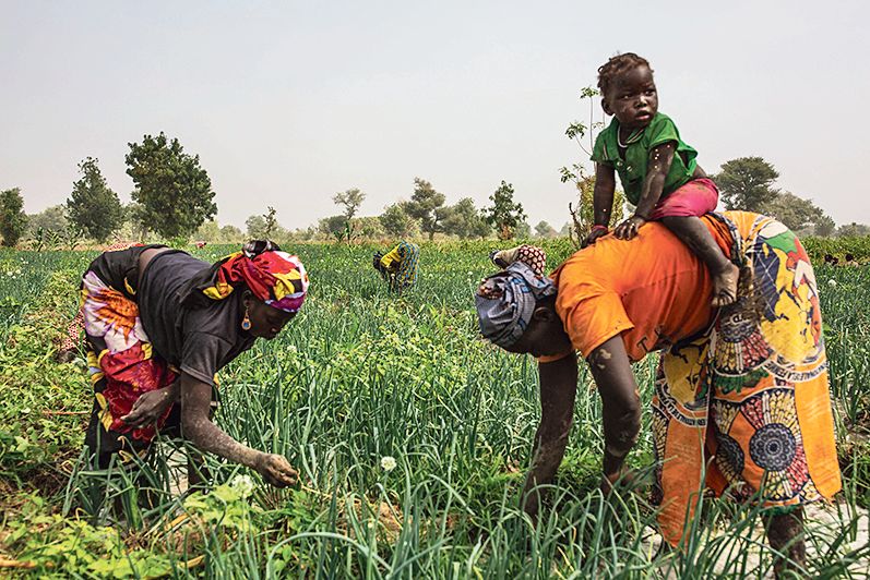 La Clé des Champs, numéro un des fruits et légumes au Gabon