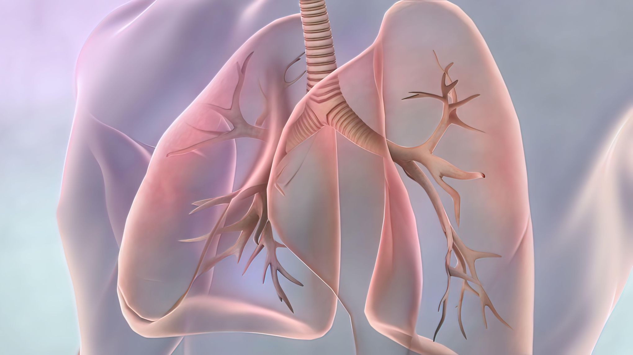 Cancer du poumon: d'importants progrès qui bouleversent les ...